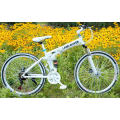 26 Inch 27 Speed Mountain Bike Mountain Bicycle